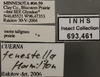 Other: Labels. (Observation).