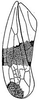 Forewing: !! display not done !! on Norvellina seminuda (Say, 1831): forewing. (Observation).