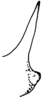 Aerotegmina shengenae Hemp, 2006: Fig. 3. procoxal spine. (Otu).
