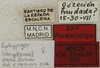 CollectionObject 1535962; fb5dae8d-7e55-4009-8262-4c7a39549592: labels (paralectotype). (CollectionObject).