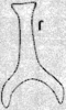 Connective on Chudania delecta Distant, 1908: Connective. (Observation).