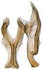 Connective: !! display not done !! on Dorycephalus Kouchakéwitch, 1866: Dorycephalus baeri, connective and stylus, ventrally (INHS). (Observation).