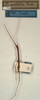 CollectionObject 1559552; NMW 899, 694f3d04-e0cc-4aaa-98fc-23e00bf9ab76: copyright NMW, Vienna. male of synonym Parasipyloidea subtilis (holotype). (CollectionObject).
