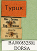 CollectionObject 1501169; a7d2d70e-e8b8-4369-b91f-5d0ce3bd65c6: labels (holotype). (CollectionObject).
