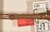 CollectionObject 1560287; 39f9c2f8-46d5-47f7-a05c-5db2c414b514: copyright OUMNH. female: head and thorax, dorsal view (syntype). (CollectionObject).;CollectionObject 1560288; 4dc70e09-436b-450f-b855-4b1d51a8ae5d: copyright OUMNH. female: head and thorax, dorsal view (syntype). (CollectionObject).