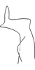 Stylus on Erythridula dowelli (Beamer, 1932): Stylus (holotype). (Observation).
