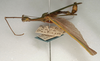 CollectionObject 1560357; NMW 1138, 1ed927ad-88bd-4b68-8141-334367c8647e: copyright NMW, Vienna. male, lateral view (holotype). (CollectionObject).