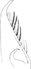 Pygofer, lateral view on Concavifer marmoratus Dlabola, 1960: Pygofer, lateral view. (Observation).
