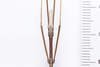 CollectionObject 1573905; 96404b7b-0ee8-4c9d-a520-d6cb0c74c7a6: copyright Murcia. male (paratype), head and thorax, dorsal view. (CollectionObject).;CollectionObject 1573906; 8be9fc32-08b5-47c0-a600-babbc38951e3: copyright Murcia. male (paratype), head and thorax, dorsal view. (CollectionObject).;CollectionObject 1573907; 49e63d2b-bc6d-4dce-ba5b-02e7a291d51b: copyright Murcia. male (paratype), head and thorax, dorsal view. (CollectionObject).