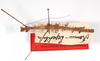 CollectionObject 1560247; 25cd9657-9ec7-4d78-b8c6-5624c5d1e223: copyright ZMB, Berlin. male (holotype). (CollectionObject).