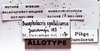 CollectionObject 1541623; 2cc3af00-27e2-47e0-adeb-819b06fb0e0e: labels (allotype). (CollectionObject).