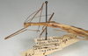 CollectionObject 1561850; NMW 1018, 8cc447cc-facb-4f3b-b73b-917df7ca4ae0: copyright NMW, Vienna. male: head and thorax, lateral view (lectotype). (CollectionObject).