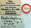 labels (holotype). Depicts CollectionObject 1517253; f39be1bd-484b-4abb-ab08-9cda006328e5, a CollectionObject.