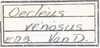 Other on Oecleus venosus Van Duzee, 1912: (Observation).