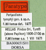 CollectionObject 1502041; b51f416f-6441-48d4-b536-7563dee48256, DORSA BA000651S01: labels (paratype). (CollectionObject).