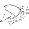 Pygofer, lateral view on Anufrievia falcata Yang & Zhang, 2018: Pygofer, lateral view. (Observation).