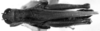 CollectionObject 1533431; 87dc6623-8612-4fc9-b38d-3a2ae215ffe5: Image Carbonell, C.S. male, dorsal view (lectotype). (CollectionObject).