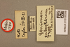 CollectionObject 1518877; 1259db5d-cf03-4a41-ba2c-85856947651e: labels (holotype). (CollectionObject).