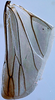 Hind wing on Discolopeus thigmacaenus (Stiller, 2019) now Discolopeus thigmacaenus Stiller, 2019: Hind wing. (Observation).