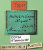 labels (holotype). Depicts CollectionObject 1500376; aa70d6d7-4712-4cb3-b31d-70d8d4d23ba9, a CollectionObject.