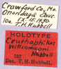 CollectionObject 1499234; c97c4cf0-a2f1-4987-aca4-8ec40d884419: labels (holotype). (CollectionObject).