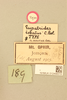 CollectionObject 1477513; 3e1b39d2-be71-4e6a-8fe7-1bae2d8fe74f, NHMUK012498315: labels (holotype). (CollectionObject).