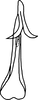 Aedeagus, ventral view on Anufrievia anchoroides Lin & Zhang, 2021: caudal view. (Observation).