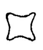 Anaulacomera (Anaulacomera) acutangulata Márquez Mayaudón, 1965: Fig. 10. cross-section of male cercus. (Otu).