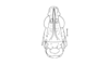 Tropidostethus angusticollis (Blanchard, 1851): Fig. 178. female head, frontal view. (Otu).