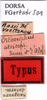 CollectionObject 1505368; bb705b14-8e22-4fb5-803e-09f3cec1c259: labels (holotype). (CollectionObject).