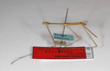 CollectionObject 1573833; eb4b9714-e037-456d-9842-1b0ba2a7a88c: copyright ZMHB, Berlin. male, lateral view (paratype). (CollectionObject).