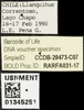 CollectionObject 2738259; 9ba33abc-0883-498a-bffd-d280b31fb427, USNMENT01345251: (CollectionObject).