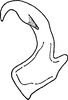 Aedeagus, lateral view on Alishania formosana (Matsumura, 1914): Aedeagus, lateral view. (Observation).