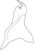 Stylus on Exitianus nanus (Distant, 1908): Stylus. (Observation).