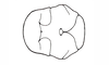 Baeacris talamancensis Rowell & Carbonell, 1977: Fig. 6. male, meso- and metasternum, ventral view. (Otu).