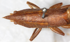 CollectionObject 1531633; ffd116de-21d6-428b-8431-3b74d950107b: female, dorsal view (holotype). (CollectionObject).