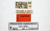CollectionObject 2008709; fd56c1fc-a4e5-41a7-9d3f-5c52399dfa6c: (CollectionObject).