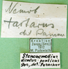 CollectionObject 1501999; 3862dac2-6666-49f0-a45e-4f881481c5b7: labels. (CollectionObject).