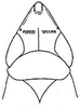 Head on Flexamia sandersi (Osborn, 1907): head, dorsally. (Observation).