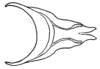 Aleuas albinae Carbonell, 2008: Fig. 27E. cingulum, dorsal view. (Otu).
