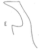 Stylus: !! display not done !! on Bandara Ball, 1931: Stylus. (Observation).