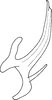 Aedeagus, lateral view on Arboridia (Arboridia) paraprocessa Song & Li, 2013: (Observation).