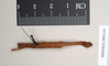 CollectionObject 1561307; 65787e1d-43b2-44c6-9dc1-3cf6b807841b: copyright Natural History Museum, London. male of synonym Presbistus ridleyi (paralectotype). (CollectionObject).