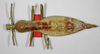 CollectionObject 1563028; 7c70c96a-c20e-4211-87a1-97d96bdff6a4: copyright ZMB, Berlin. female of Diapherodes gibbosa (paralectotype). (CollectionObject).
