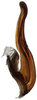 Aedeagus, lateral view on Falcitettix (Falcitettix) guttiger (Kusnezov, 1929): Aedeagus, lateral view (M. minor Vilbaste, 1965). (Observation).