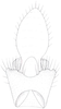 Anal tube processes: !! display not done !! on Cixidia (Epiptera) lapponica (Zetterstedt, 1837): (Observation).