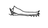 Ceuthophilus (Geotettix) caudelli Hubbell, 1936: Fig. 173 (after allotype). ovipositor. (Otu).