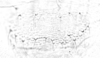Connective.: Hairs on subgenital plate of A. urticata. (Observation).