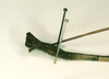CollectionObject 1557661; 11242db1-c664-4a8f-9912-431d4cb1f727: copyright RMNH, Leiden. female: end of abdomen (holotype). (CollectionObject).