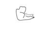 Sciaphilacris alata Descamps, 1976: Fig. 15. dorsal valve of aedeagus, lateral view. (Otu).